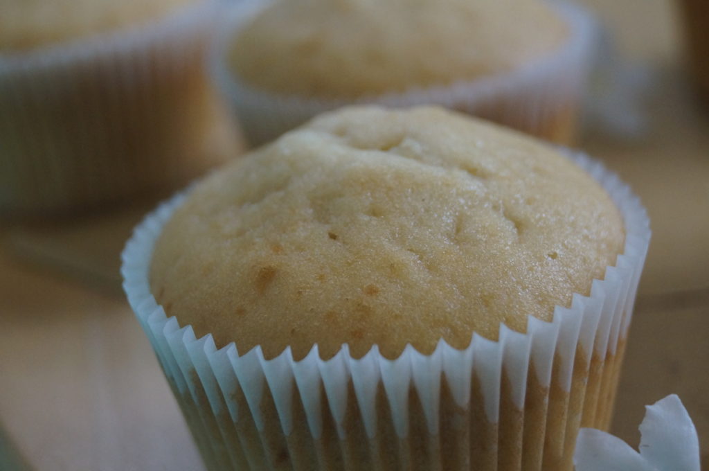 Basic Vanilla Cupcakes