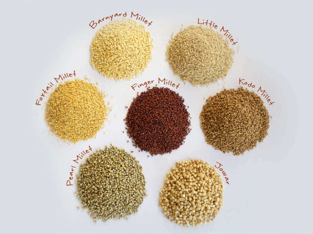 Types of Millet