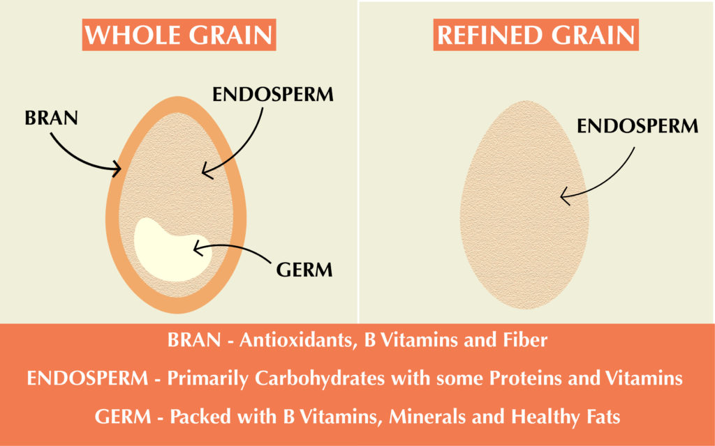 Whole Grain vs Refined Grain